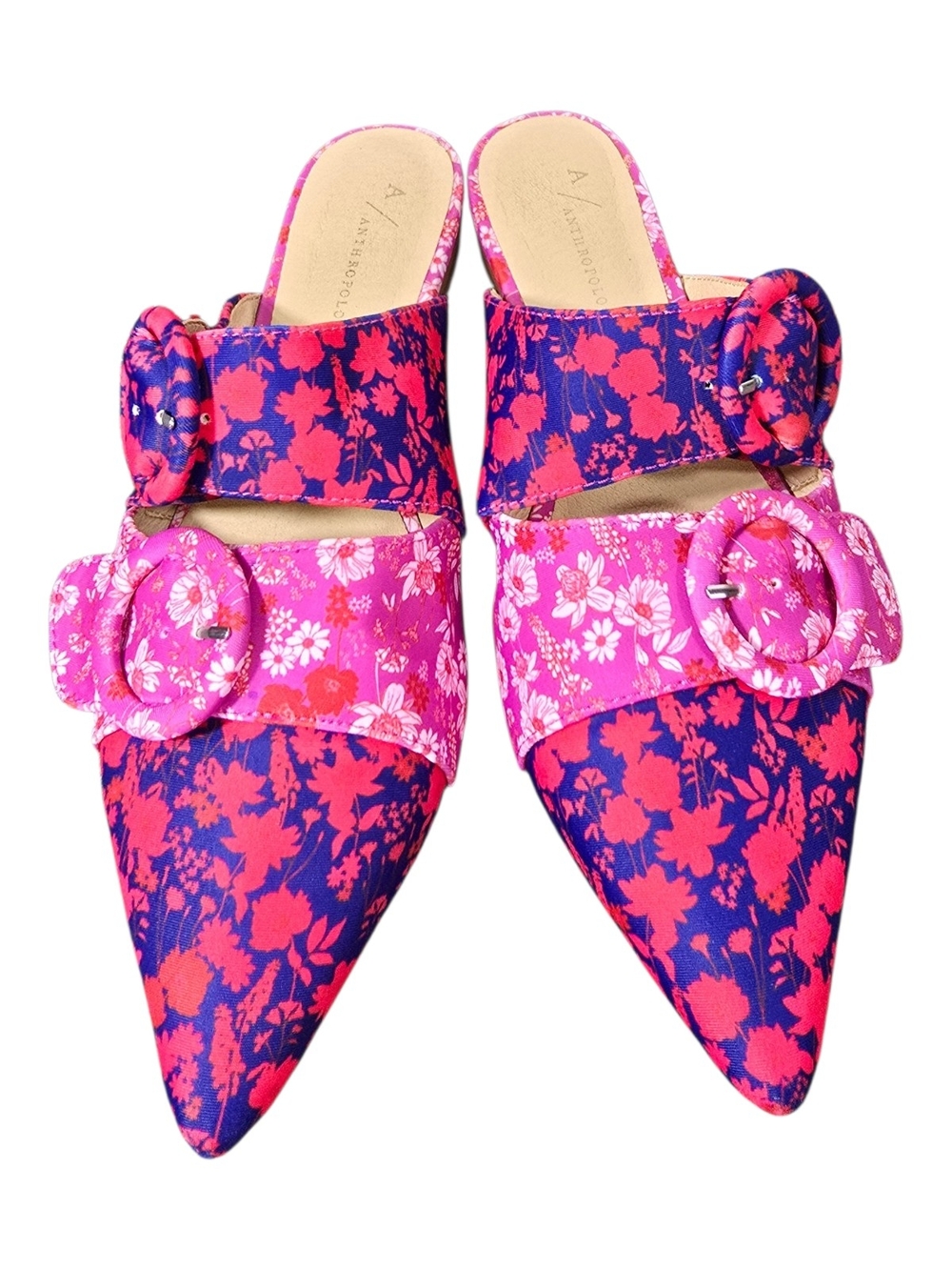 Anthropologie Flavia Buckle Pointy Mule Slides Flats